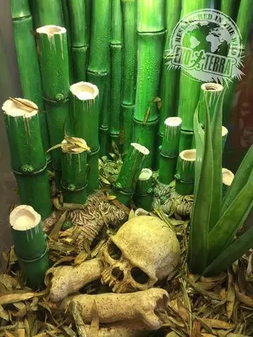 ExoTerra Bamboo Terrarium 45x45x60 cm 121 Liter